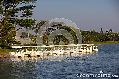 white duck pedal boat on the lake spend time relaxing with family Stock Photo