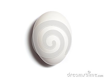White egg Stock Photo