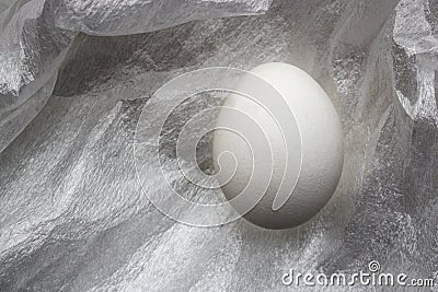 White egg on the White texture background Stock Photo