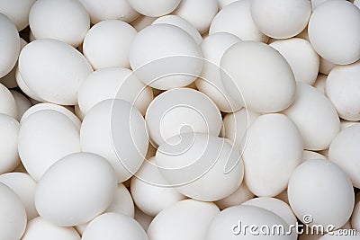 White Eggs Stock Photo