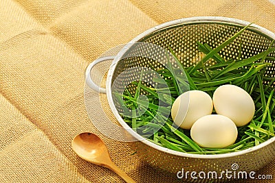 White eggs in a nest of green onions in a metal colander Stock Photo