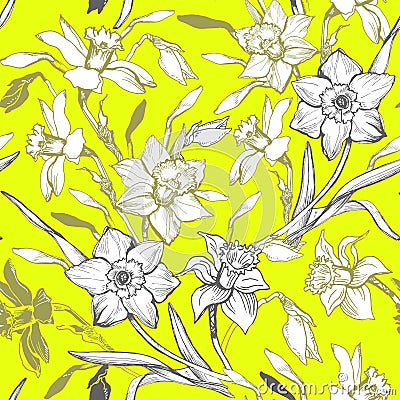 White elegant hand drawn flowers Narcissus, Daffodils on yellow. Vector Illustration