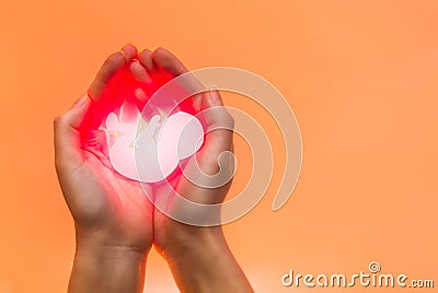 White embryo from paper with red light rest in hands of African-American or Asian woman. Hands on the left side. Soft focus. Stock Photo