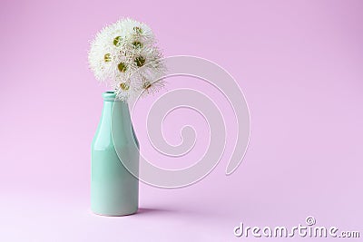 White eucalyptus flowers in simple green vase Stock Photo