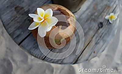 White exotic flower on coconut Stock Photo