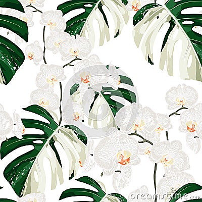 White exotic monstera leaves and orchid flowers seamless pattern. Stock Photo