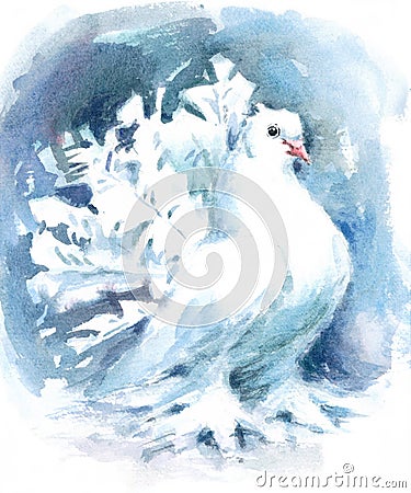 White Fantail Pigeon Bird Watercolor Illustration Hand Painted Cartoon Illustration