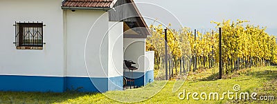 White farm house and vineyard field Stock Photo