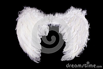 White Feather Angel Wings Stock Photo