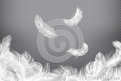 White feather background. Closeup bird or angel feathers. Falling weightless plumes. Dream illustration Vector Illustration