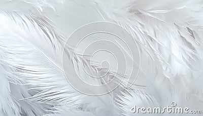 white feathers, beautiful wallpaper. generative ai Stock Photo