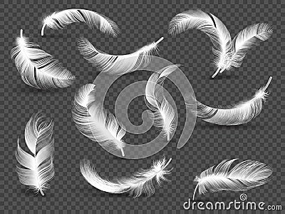 White feathers. Fluffy twirled feather isolated on transparent background. Realistic vector set Vector Illustration