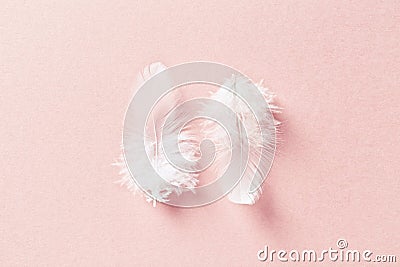 White feathers on pastel pink background Stock Photo