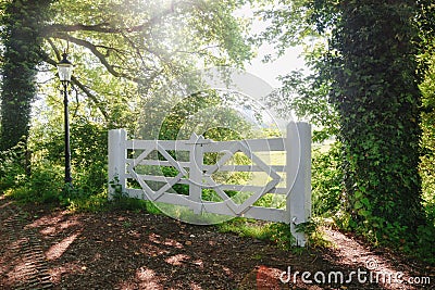 A white fence on the edge of a forest with the windmill De Vlinder behind it in a haze Stock Photo