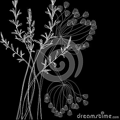 White field flowers Vector Illustration