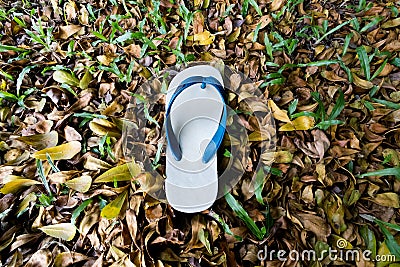 White flip flop Stock Photo