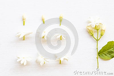 White flower jasmine and purple flowers local flora of asia in spring season Stock Photo