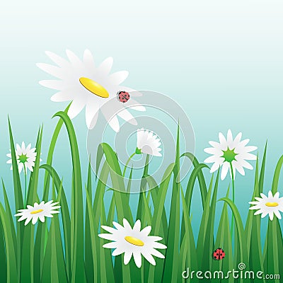 White Flower and ladybugs among the grass.Vector illustration. Vector Illustration