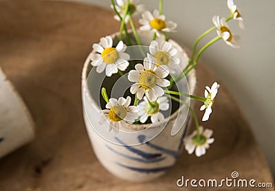 White flower in a vase Stock Photo
