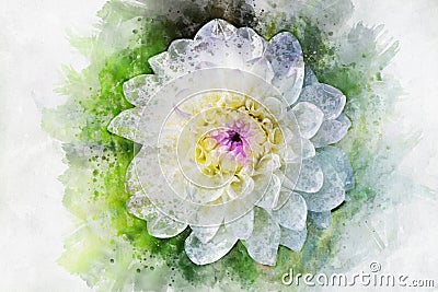 White flower: Watercolor style dahlia for background, textu Stock Photo