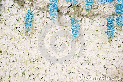 White flowers decorative background Stock Photo