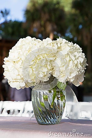 White flowers in glass vase Stock Photo