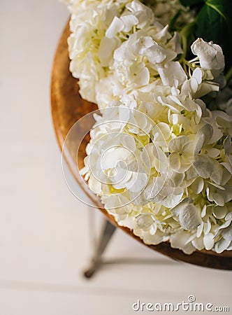 White Flowers on Stool Stock Photo