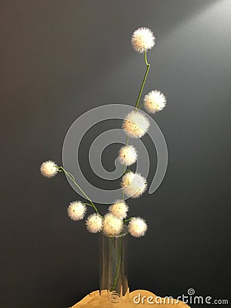 White Flowers in a Vase Stock Photo