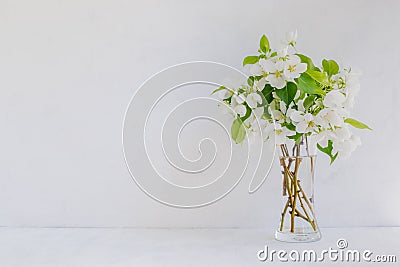 White flowers in a vase on a light background Stock Photo