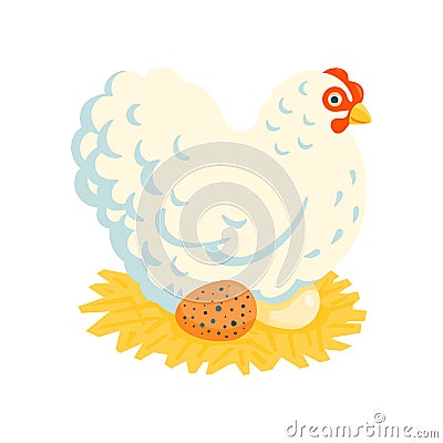 White fluffy chicken on a nest Vector Illustration