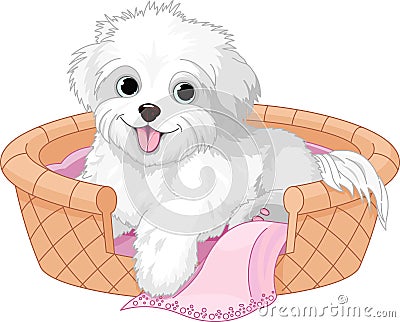 White fluffy dog Vector Illustration