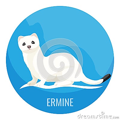 White fluffy ermine with precious fur used in fashion Vector Illustration