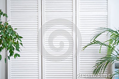 White folding louver screen, screen with indoor green plants Stock Photo