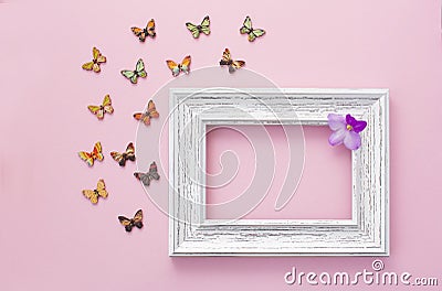 White frame on pink background with multicolored wooden butterflies summer composition Stock Photo