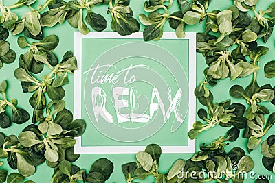 white frame with words time to relax and fresh green leaves Stock Photo