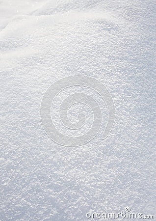 White frost Stock Photo