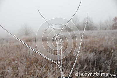 White frost. First breath of winter, turned field into white. Stock Photo