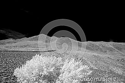 White frosty looking tree, cols desert mountain and black sky Stock Photo
