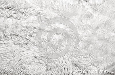 White fur background Stock Photo