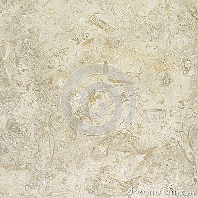 White Gold Tumbled Limestone Texture Stock Photo
