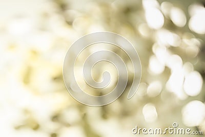 White and golden gray bokeh lights. Abstract blurred spots background Stock Photo