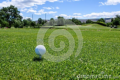 White golf ball sitting on a white tee in the tee box, hole long way in the distance Stock Photo