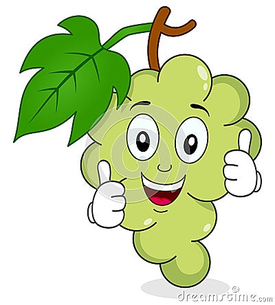 White Grapes Character with Thumbs Up Vector Illustration