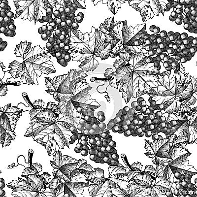 White grapes seamless pattern. Bunch of grapes with leaves Vector Illustration