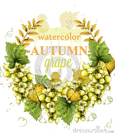 White grapes wreath watercolor card Vector. Painted splash style templates Vector Illustration