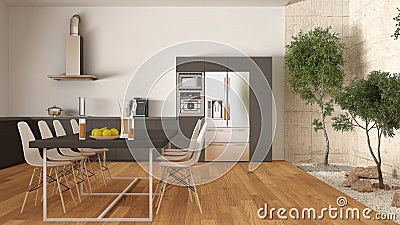 White and gray kitchen with inner garden, minimal interior design Stock Photo