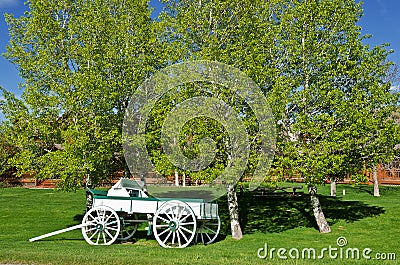 White and Green Buckboard Stock Photo