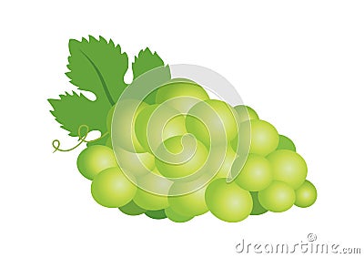 One green juicy ripe grape icon vector Vector Illustration