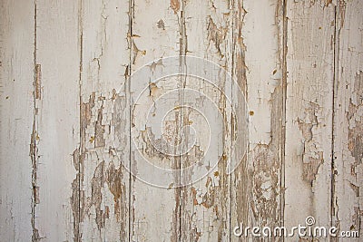 White/grey wood texture background with natural patterns Stock Photo