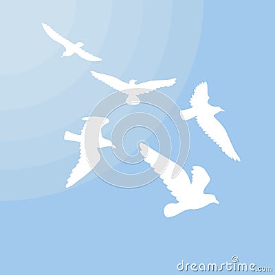 White Gulls Silhouettes Concept Vector Illustration